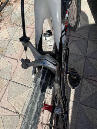 Bicicleta ciclismo Thompson Capella Carbono