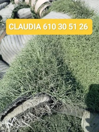 Césped artificial