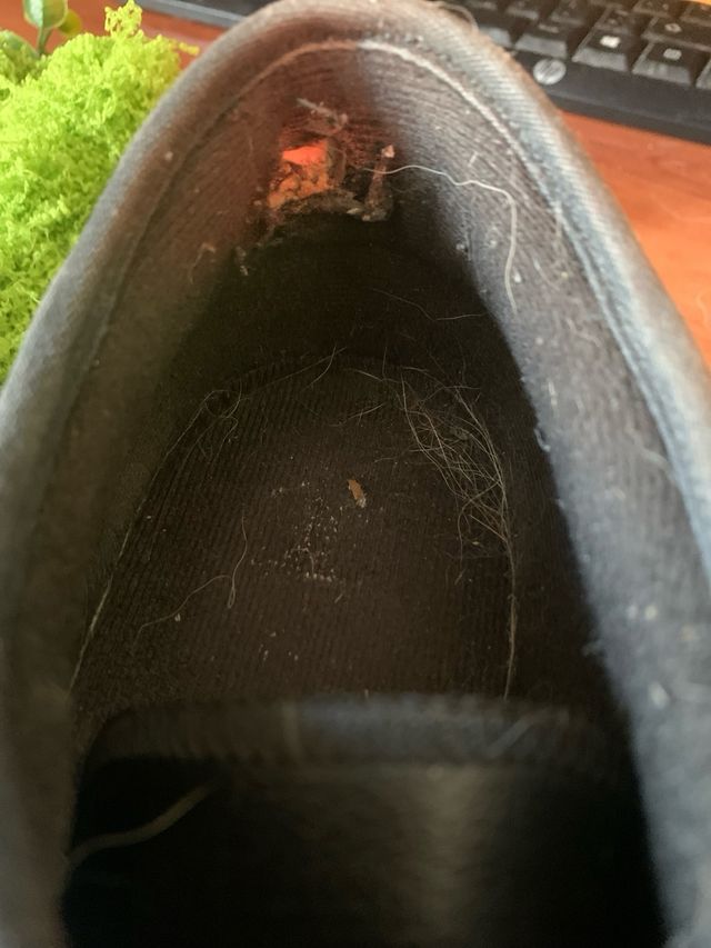 Zapatillas Adidas Negras Hombre