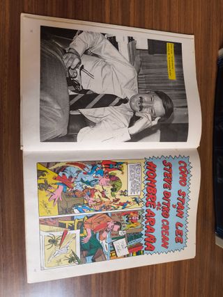 Yo Soy El Hombre Araña