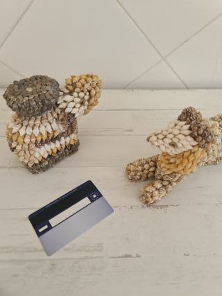 Coleção Conchas Artesanais Artesanato Animais