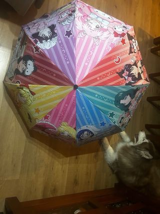 Paraguas estilo anime multicolor