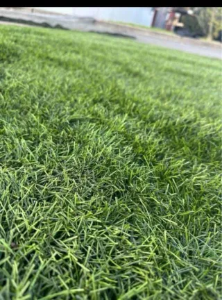 Césped artificial reciclado ♻️