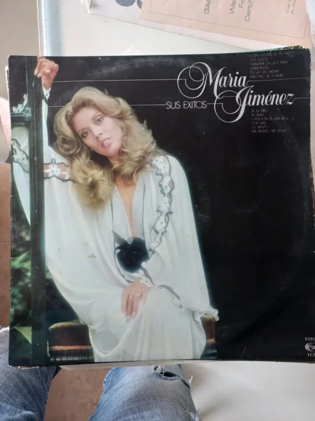 Lote Vinilos antiguos