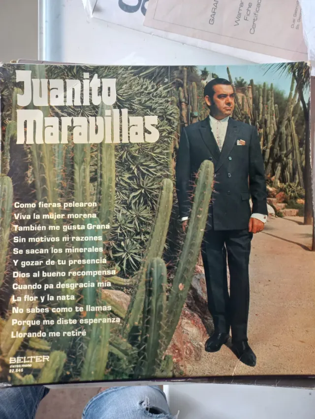 Lote Vinilos antiguos