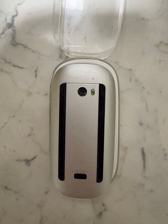 Apple Magic Mouse Plata/Blanco