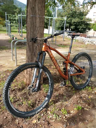 Bicicleta Canyon Spectral AL 9.9 EX