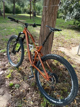 Bicicleta Canyon Spectral AL 9.9 EX