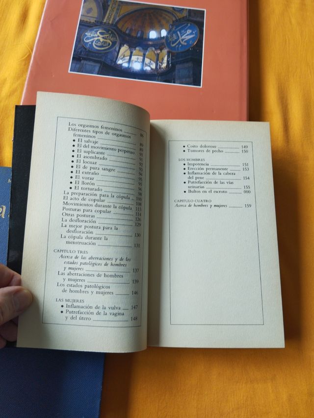 Islam/ El Abencerraje/ Las fuentes del placer