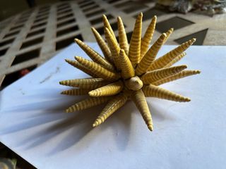 Ceramica Caltagirone