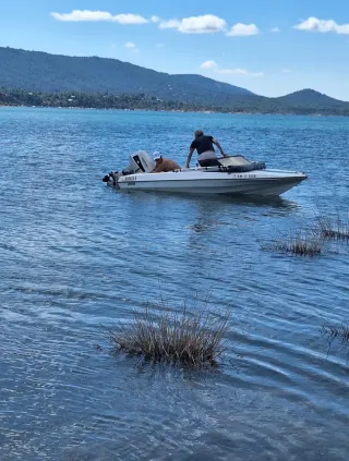 Ducauto Flash Fiesta planeadora 4m 40cv Suzuki