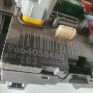 Caja Fusibles BSM L03 Peugeot/Citroen 9664055480
