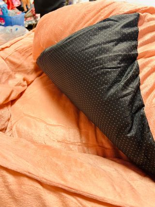 Cama para perro nueva beige