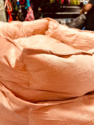 Cama para perro nueva beige