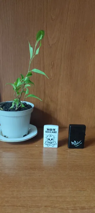 Accendino Zippo Bianco e Nero