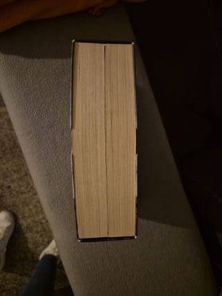 Dos libro Javier Castillo