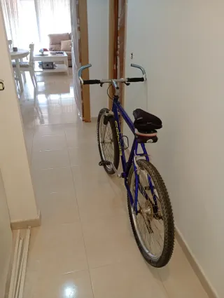 Bicicleta Conor AP05 Montaña/Carretera