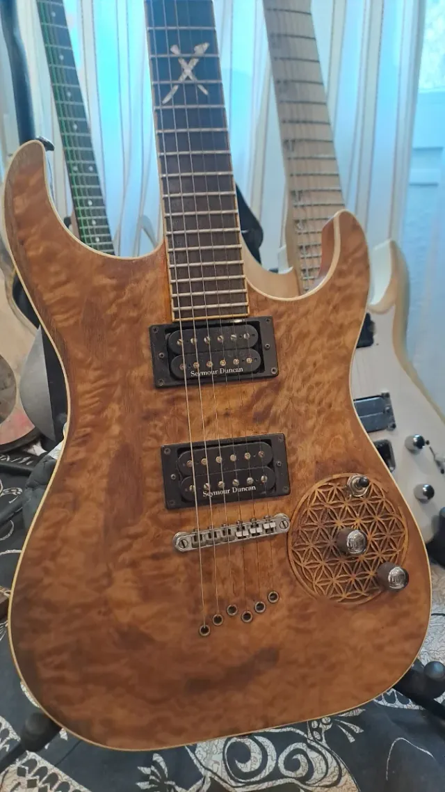 Guitarra Washburn Exclusiva