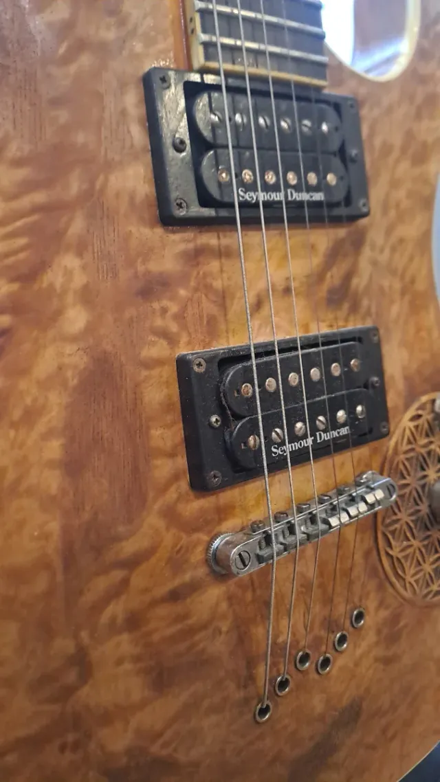 Guitarra Washburn Exclusiva