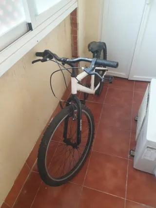 Bicicleta Mitical