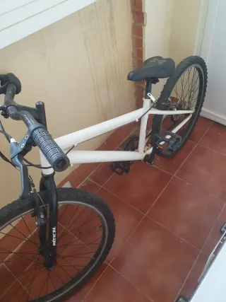 Bicicleta Mitical