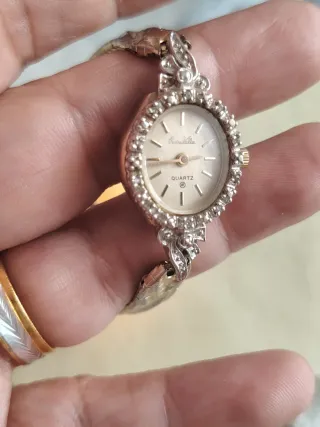 Reloj Pierre Valle Mujer Cuarzo
