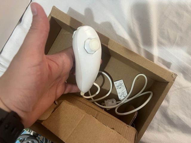 Nintendo Wii Family Edition