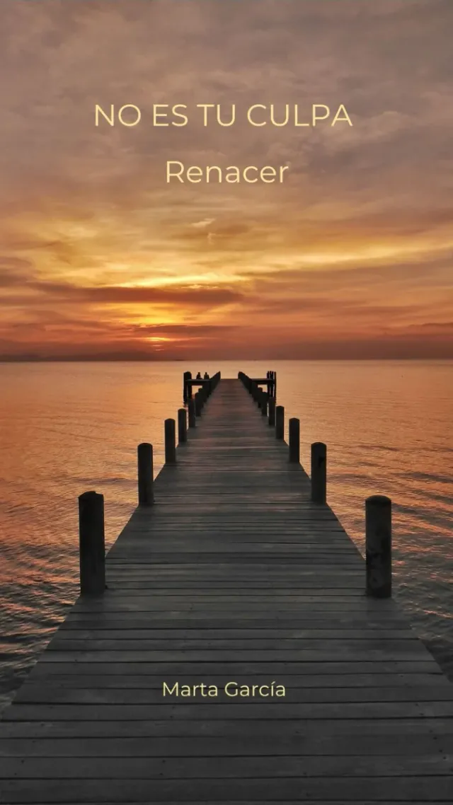 Estuche de libros No es tu culpa