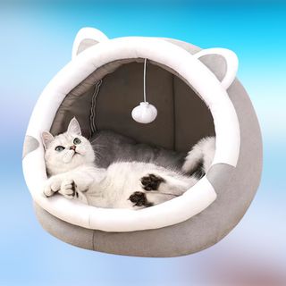 Cuccia per gatti per interni con giocattolo appeso