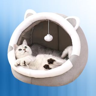 Cuccia per gatti per interni con giocattolo appeso