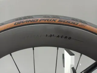 Megamo Pulse Elite