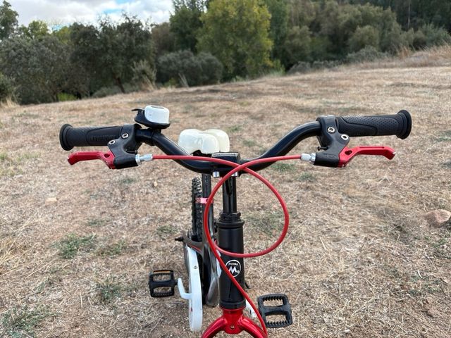 Bicicleta infantil Royalbaby