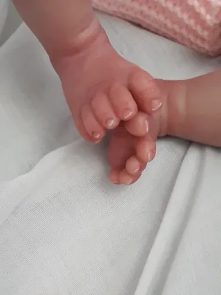 Bebé Reborn