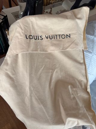 Mochila Louis Vuitton Hombre Beige