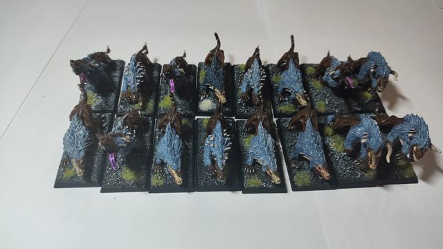 Warhammer 16 Lobos Espectrales Condes Vampiro