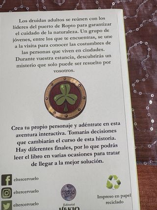 Lis jóvenes Druidas. El misterio del puerto