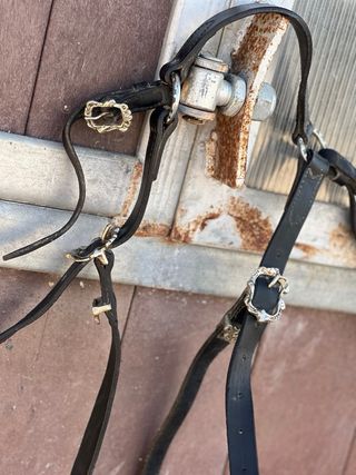 Petral Portugués Equitación Negro