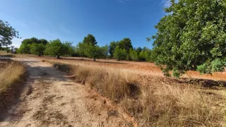 Terreno rústico en venta