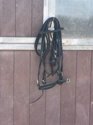 Cabezada portuguesa Marjoman