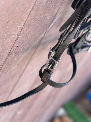 Cabezada portuguesa Marjoman