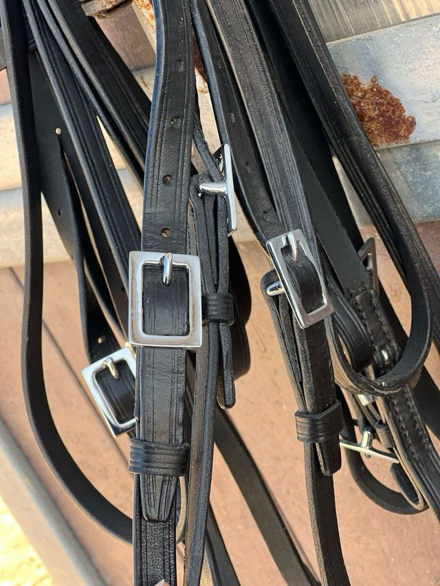 Cabezada portuguesa Marjoman