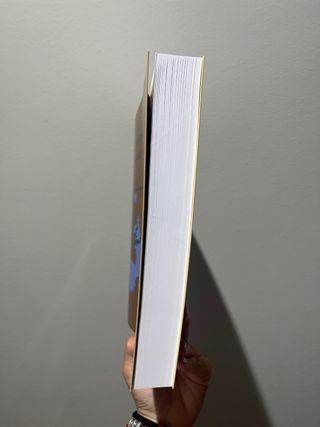 el estado constitucional multinivel 1º derecho 