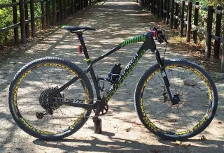 Mondraker Podium