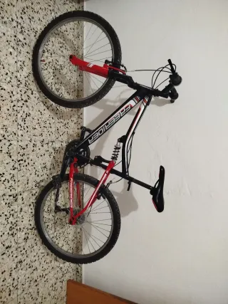 Bicicleta de montaña FREERIDER
