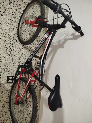 Bicicleta de montaña FREERIDER
