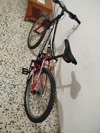 Bicicleta de montaña FREERIDER
