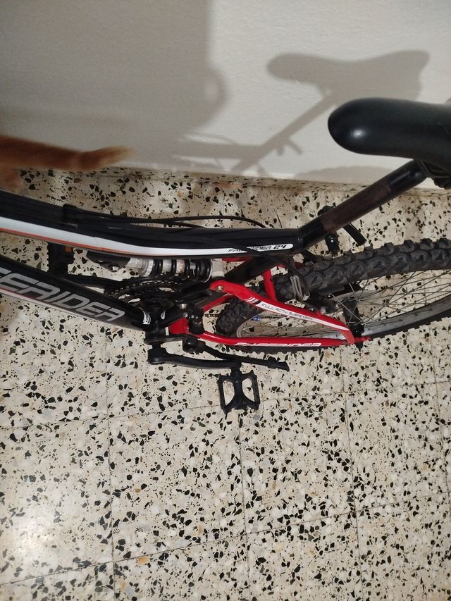 Bicicleta de montaña FREERIDER