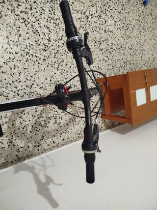 Bicicleta de montaña FREERIDER
