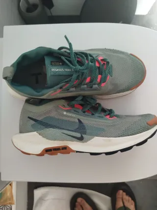Nike Pegasus Trail 5 GTX Verde/Rosa