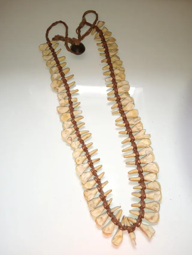 Collar antiguo dientes de Cebra,Original tribu Afr